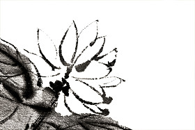 花卉
