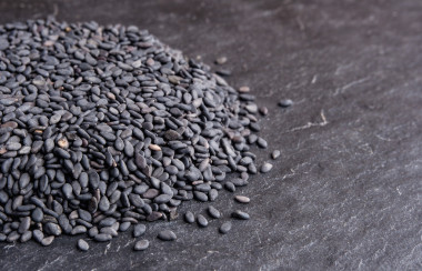 黑芝麻种子图片