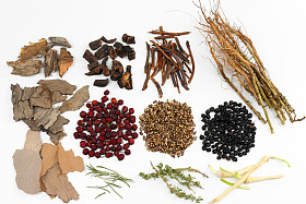 中国传统中草药成分，白色衬底上分离