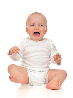 小狗小狗伤心的哭