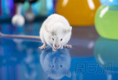 工作場所現(xiàn)代分子生物學實驗室測試在藍色背景