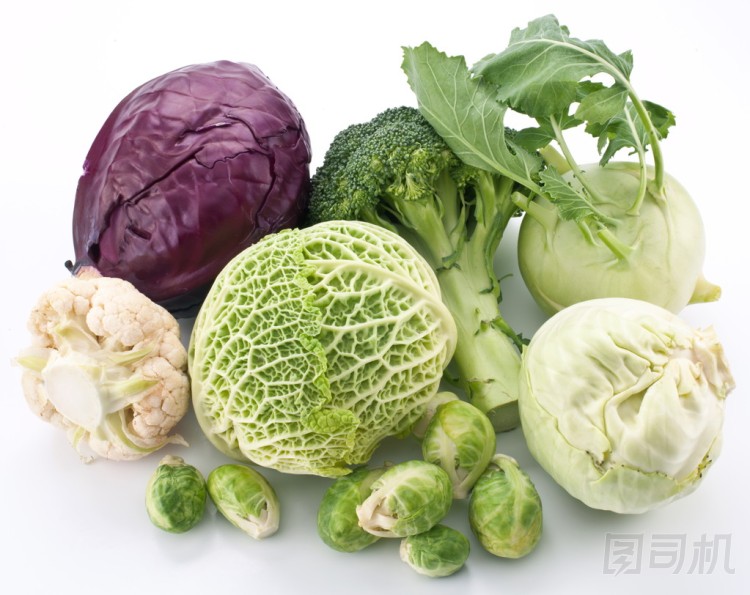 集合的不同品種的白菜上白色 backgrou
