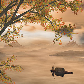 美丽的枫树，具有很好的背景图片