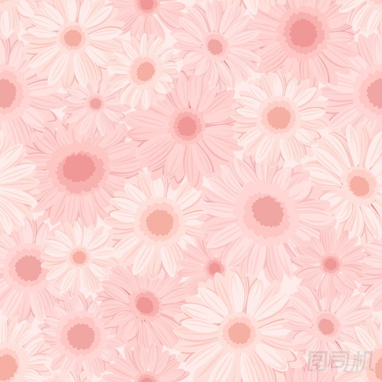 用粉色非洲菊鮮花的無縫背景。矢量圖