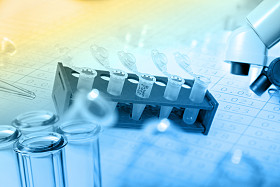 微管与DNA analys实验室生物样