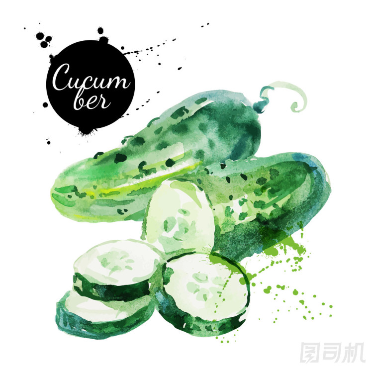 綠色黃瓜
