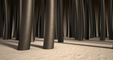 微觀發(fā)根照片