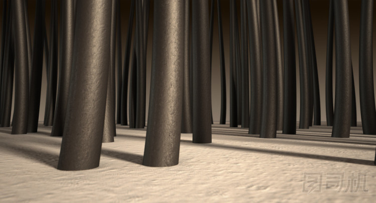 微觀發(fā)根照片