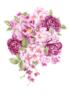 简单的白色背景的水彩插图花图片