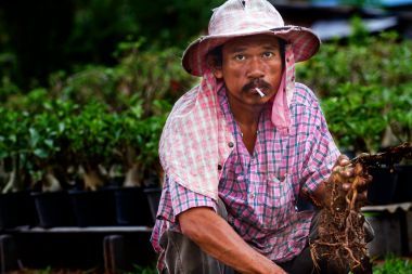 老男人吸煙照片