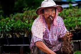 老男人吸烟照片