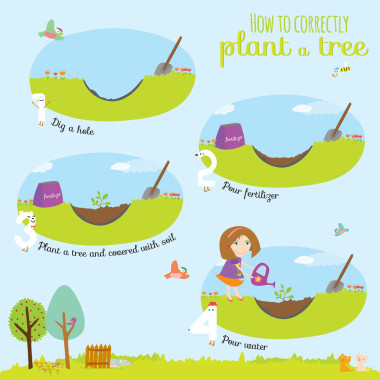 种植树过程与时间线图表说明图片