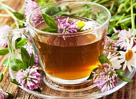 草本茶照片