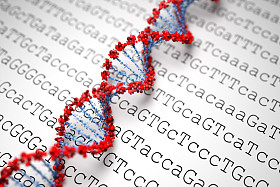 dna 背景