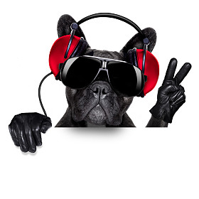 dj 狗照片