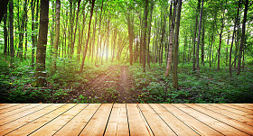 木板地板纹理图片