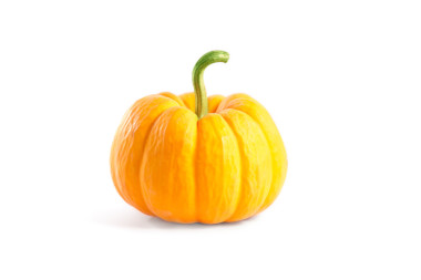 裝飾的橙色南瓜