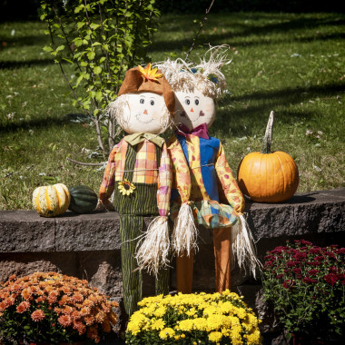 萬圣節(jié)裝飾圖片