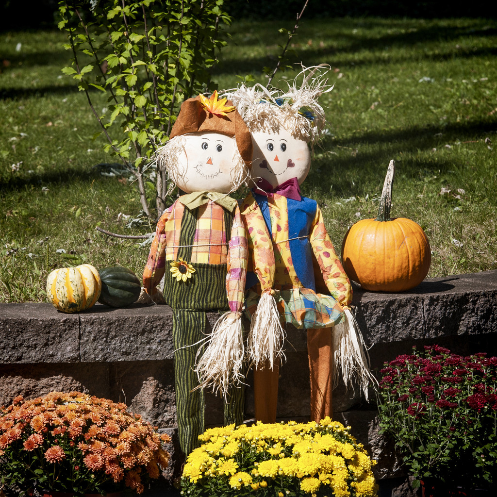 万圣节装饰图片