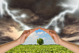 两只手保持对雷雨绿树照片