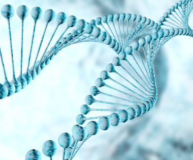 dna 螺旋結(jié)構(gòu)