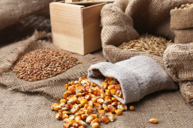 谷物在袋子里圖片