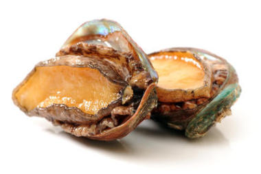 原料鮑魚圖片