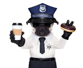 警犬图片