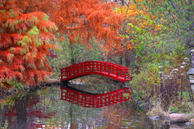 春秋時期的日本花園