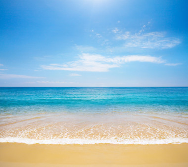 海滩和热带海图片