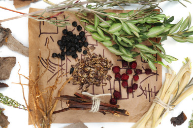 中國傳統(tǒng)中草藥成分的不是真正的象形文字，特寫