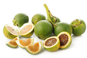 白色背景上的原始槟榔图片