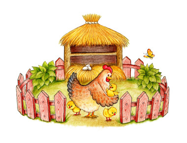 母雞帶小雞圖片