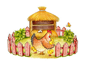 母鸡带小鸡图片