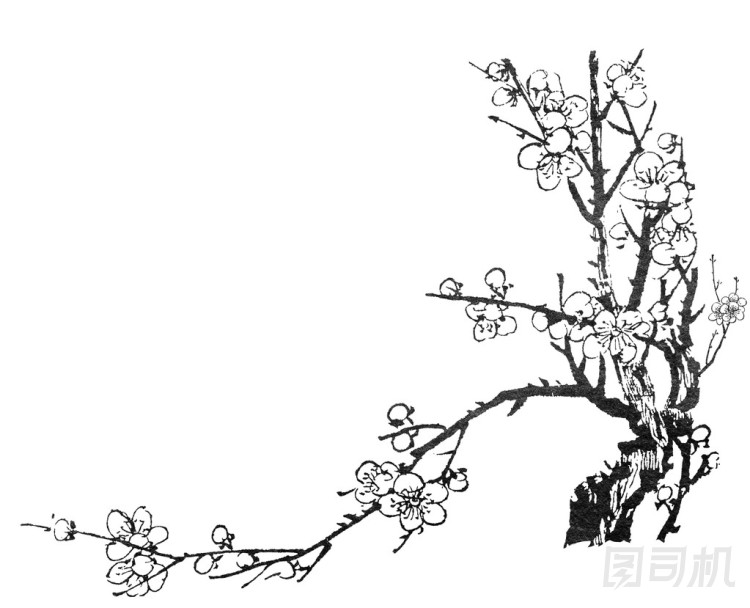 中國(guó)   油畫(huà)圖片