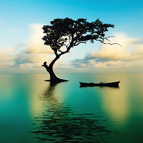 美丽的自然景
