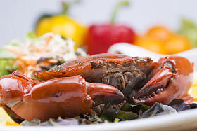 新鲜蒸汽红蟹图片