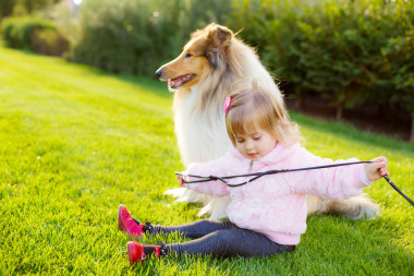 小女孩玩狗牧羊犬