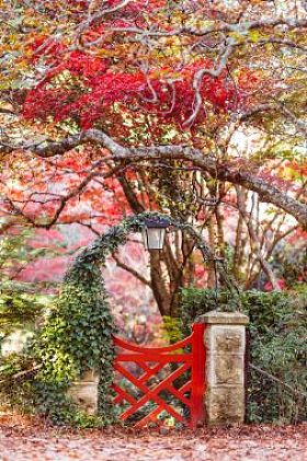 秋季日本花园与扇红色的门图片