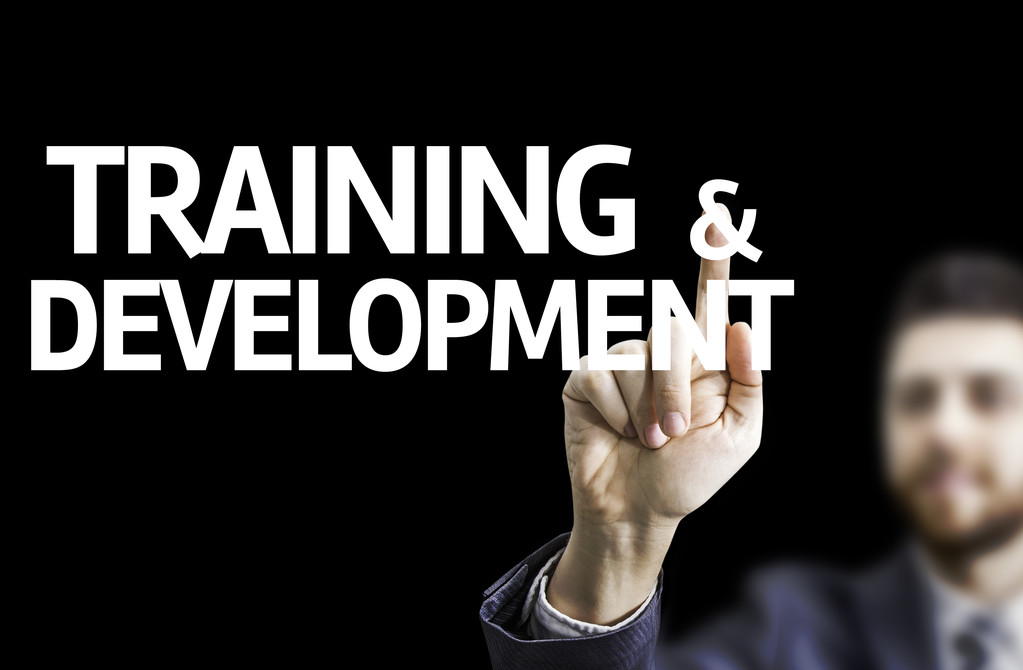 业务名男子指着文本: 培训与发展 业务名男子指着文本: 培训与发展