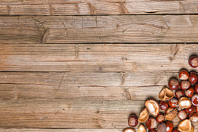 栗子在桌子上照片