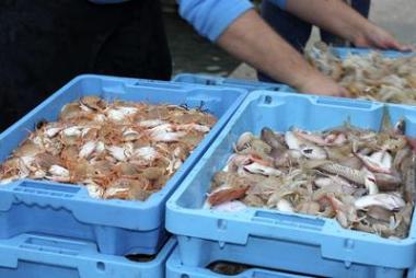 蟹魚地中海海鮮漁夫船