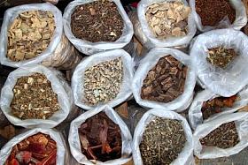 天然草药植物草药图片