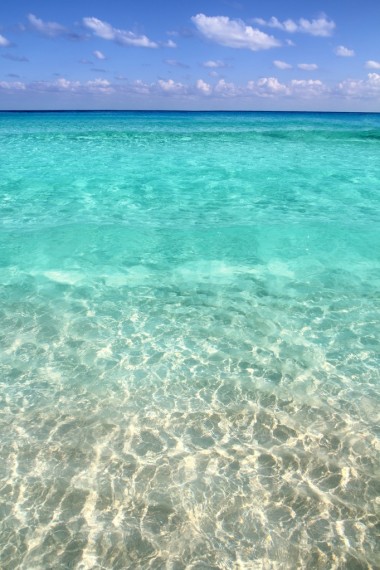 Z???P????????t?????????????????????????????????????????????????????????????