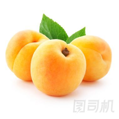 杏圖片