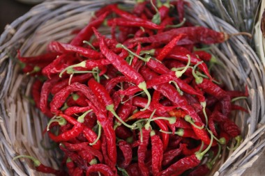 歐洲意大利西西里島