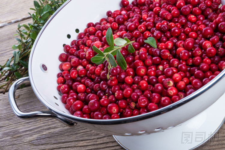 在漏勺農(nóng)學(xué) rries