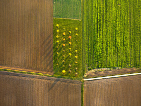 有田地的农村景观图片