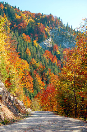 在山的秋色照片