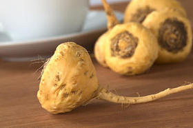 秘鲁人参 (Maca)图片